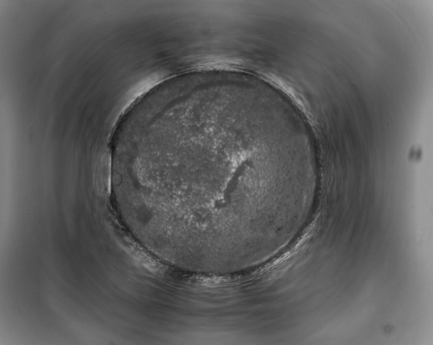 X0000100351219200806130945
