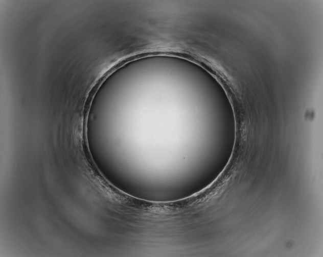 X0000100351220200806130945