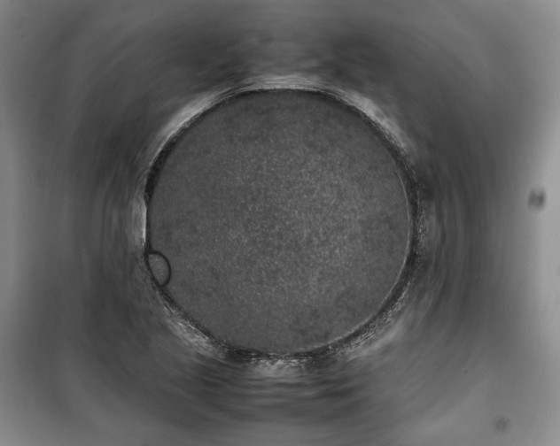X0000100351221200806130945