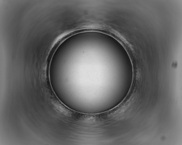 X0000100351222200806130945