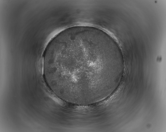 X0000100351223200806130945