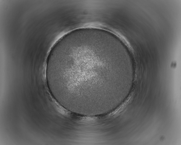 X0000100351224200806130945
