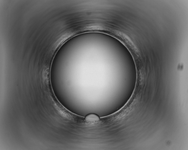 X0000100351225200806130945