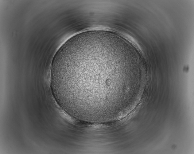 X0000100351228200806130945