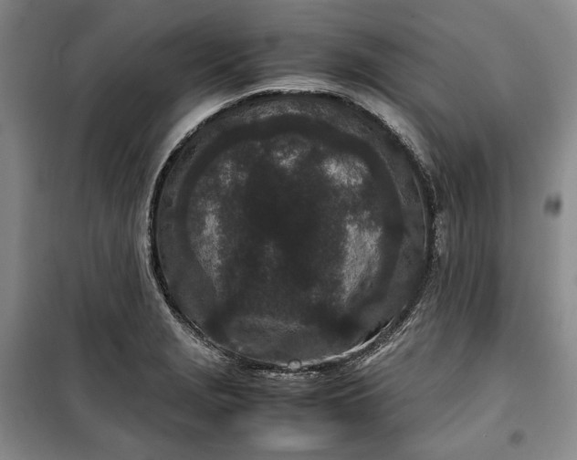 X0000100351229200806130945