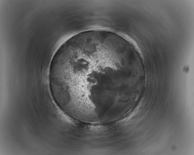 X0000100351231200806130945
