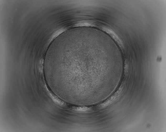 X0000100351233200806130945