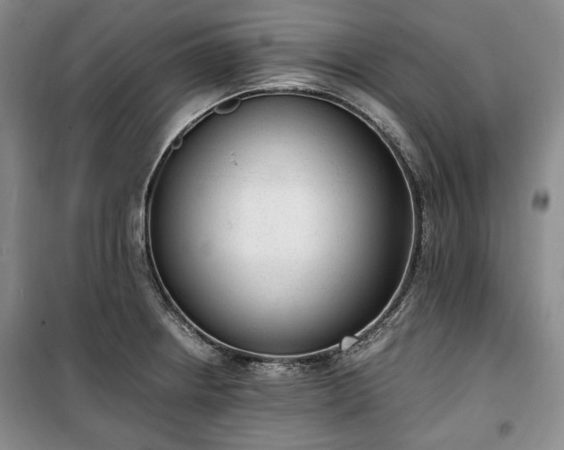 X0000100351234200806130945