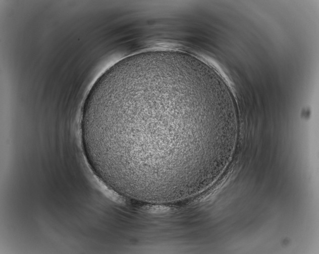 X0000100351235200806130945