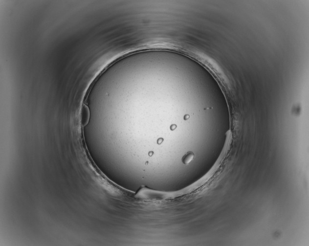 X0000100351236200806130945
