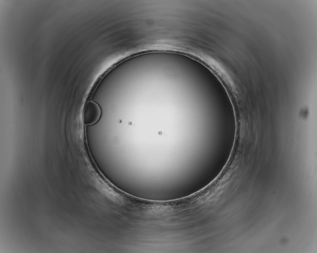 X0000100351238200806130945