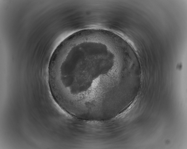 X0000100351239200806130945