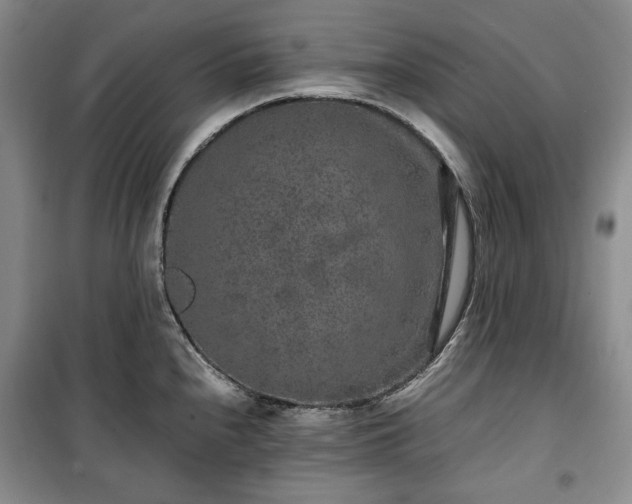 X0000100351240200806130945