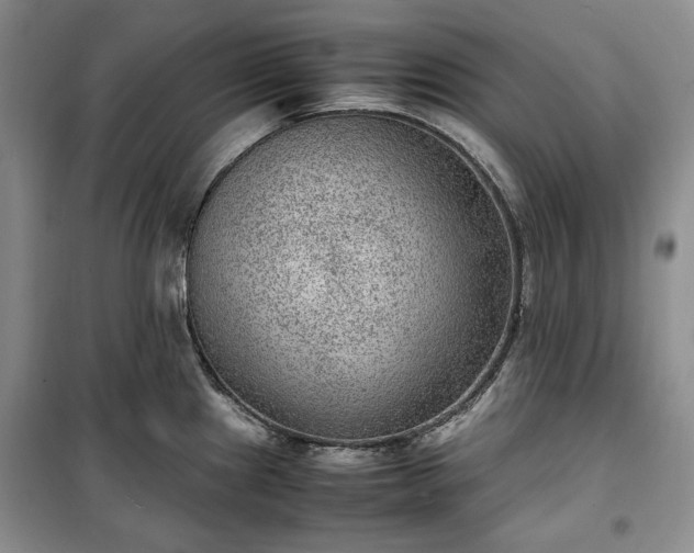 X0000100351241200806130945