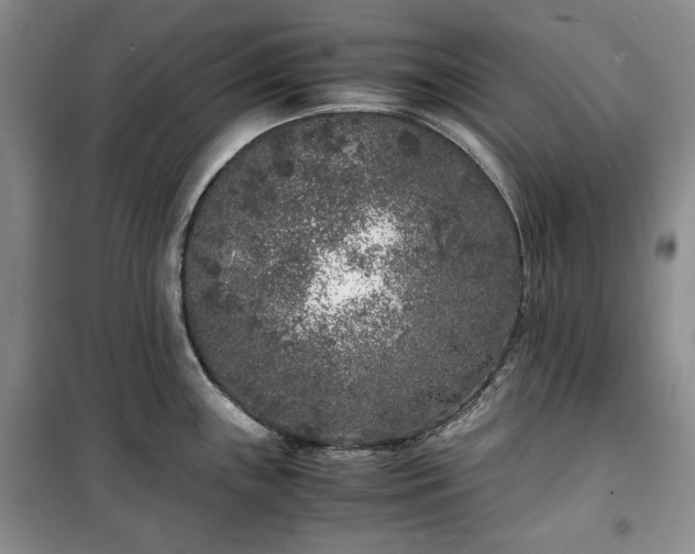 X0000100351243200806130945