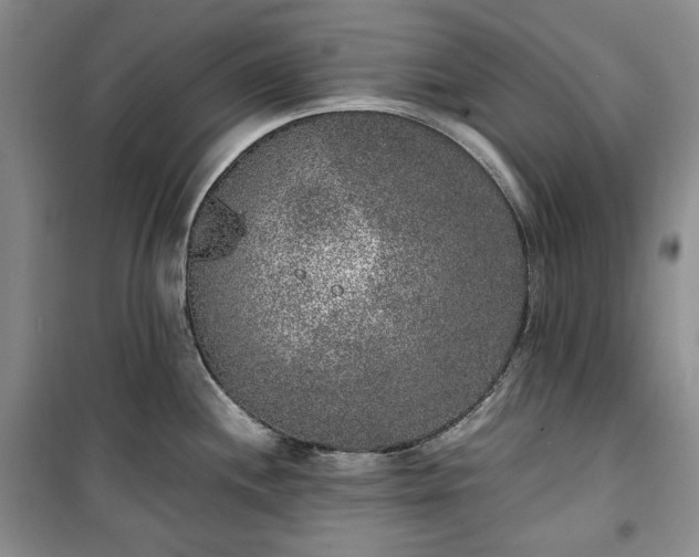 X0000100351244200806130945