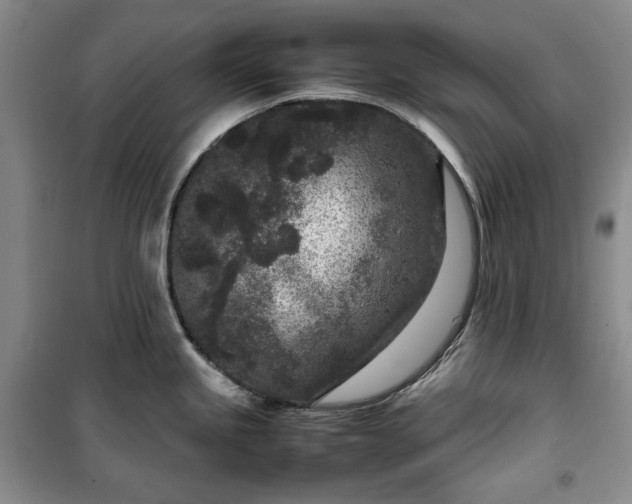 X0000100351245200806130945