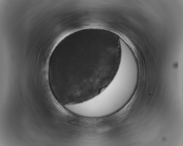 X0000100351246200806130945