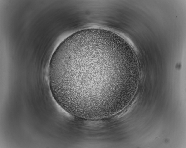 X0000100351247200806130945
