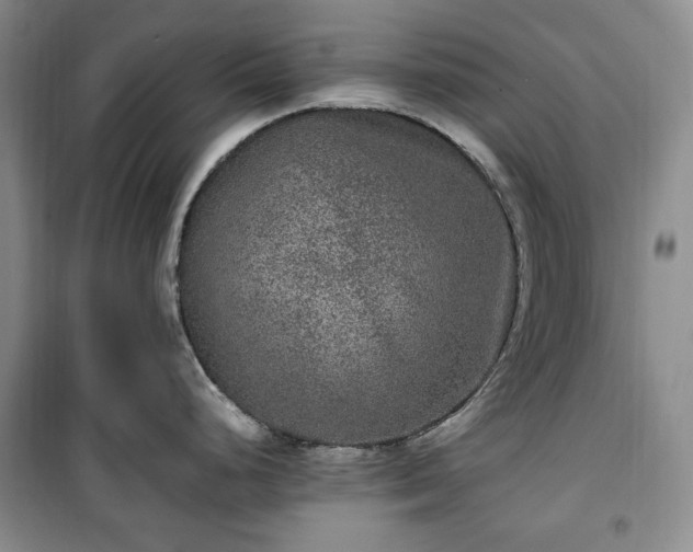 X0000100351248200806130945