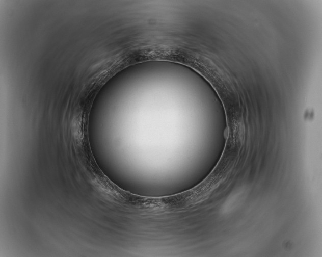 X0000100351250200806130944