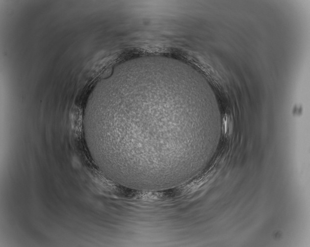 X0000100351251200806130944