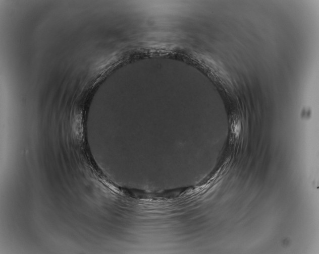 X0000100351252200806130944