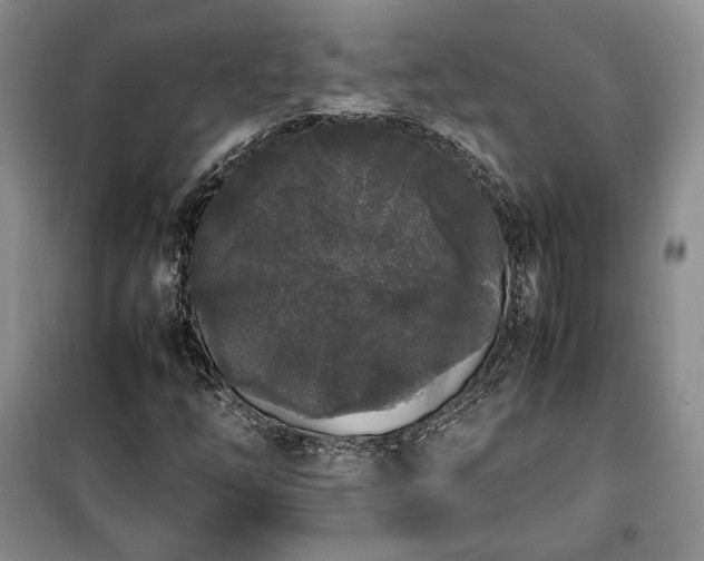 X0000100351254200806130944