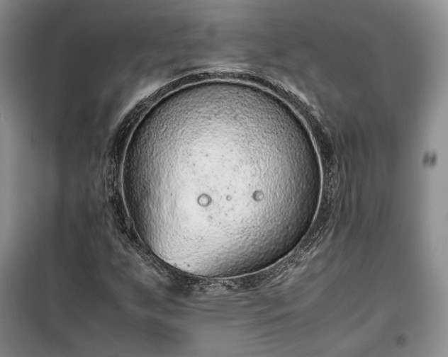 X0000100351255200806130944
