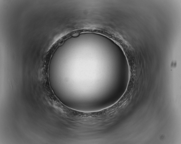 X0000100351256200806130944