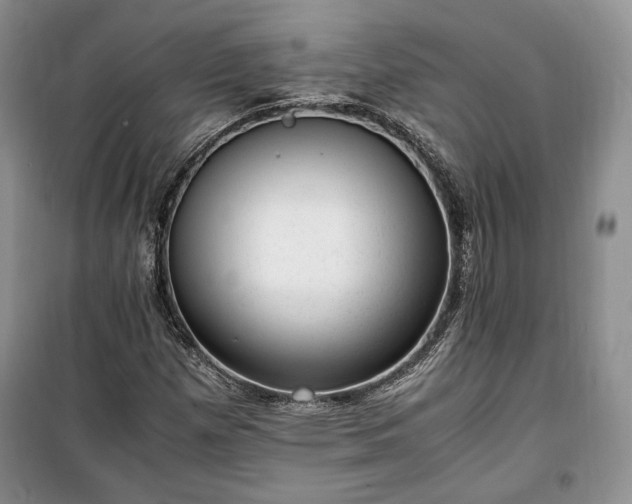 X0000100351257200806130944