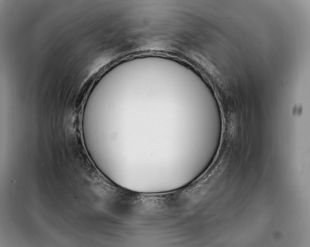 X0000100351258200806130944