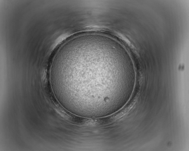 X0000100351259200806130944