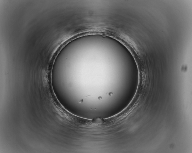 X0000100351260200806130944