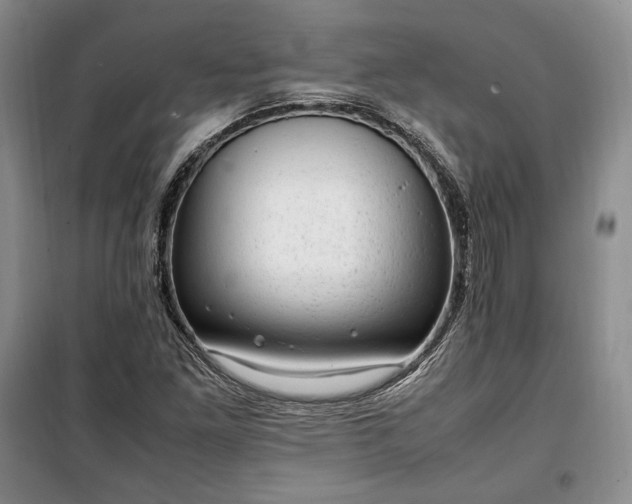 X0000100351261200806130944