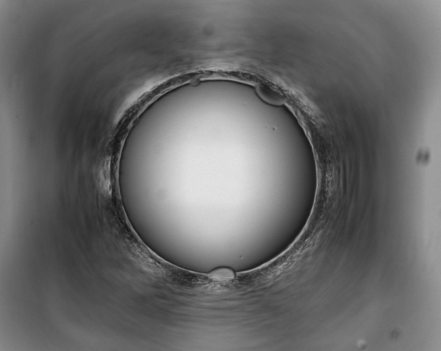 X0000100351262200806130944
