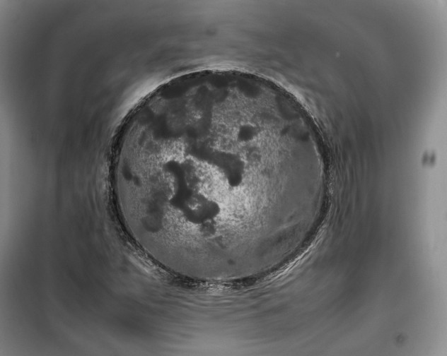 X0000100351263200806130944