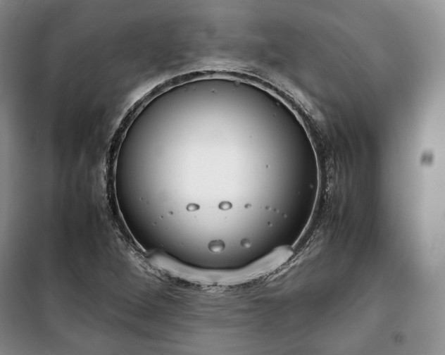 X0000100351264200806130944