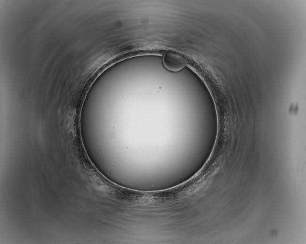 X0000100351265200806130944