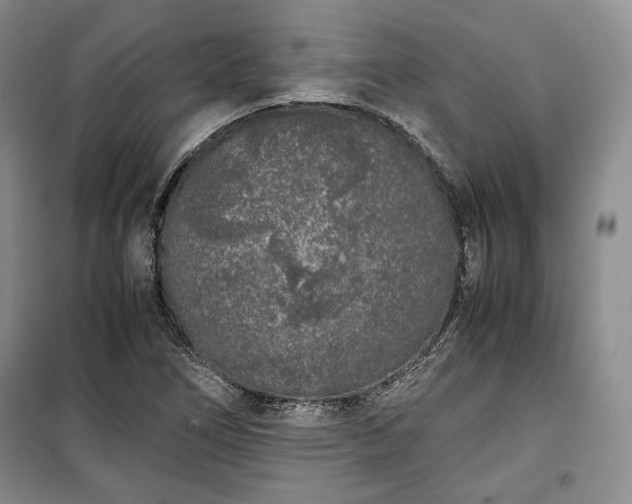 X0000100351266200806130944