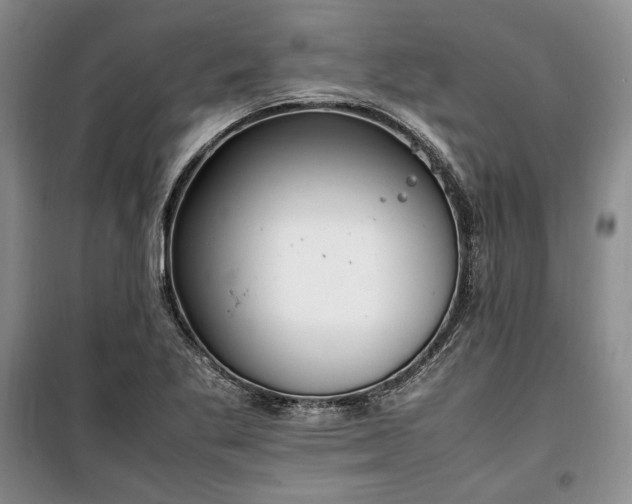 X0000100351269200806130944