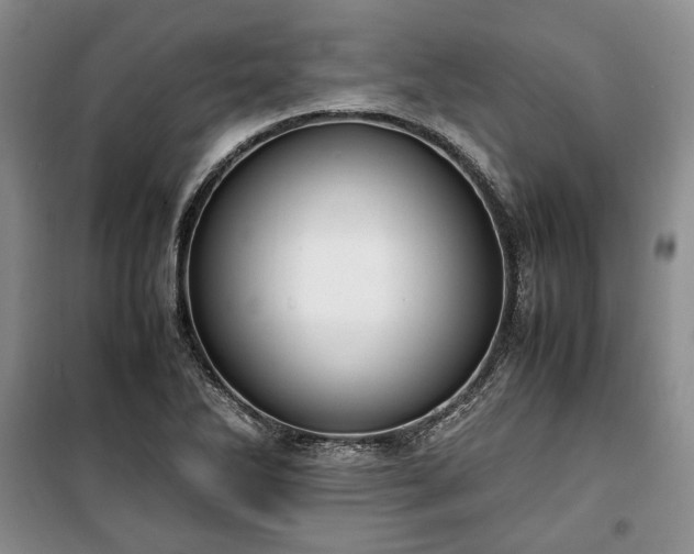 X0000100351270200806130944