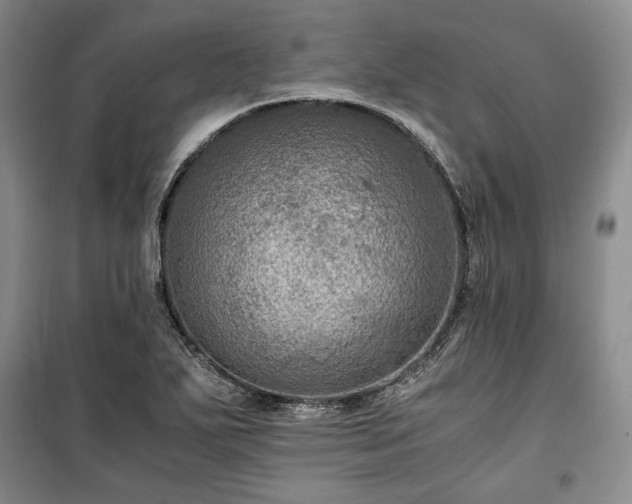 X0000100351271200806130944