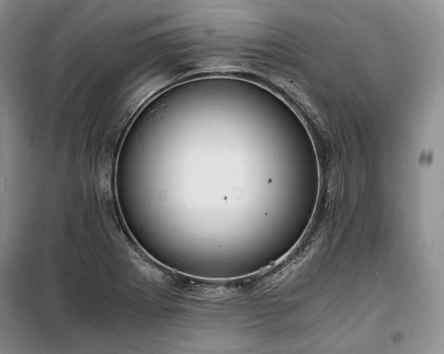X0000100351273200806130944