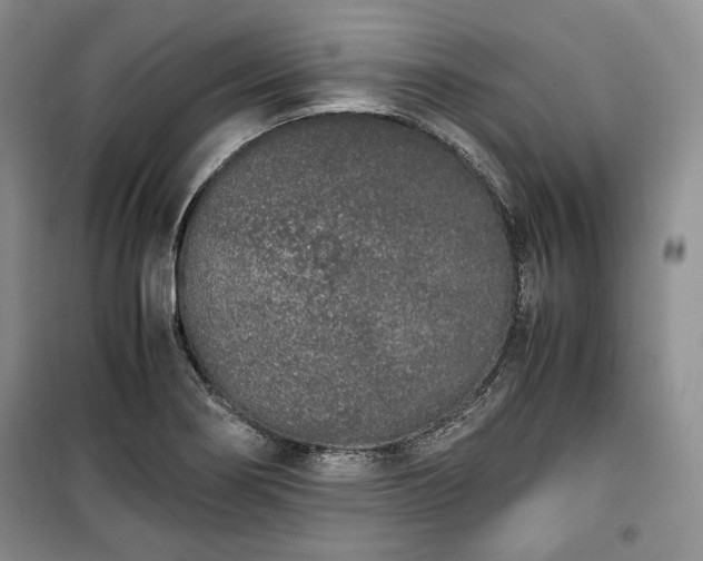 X0000100351274200806130944