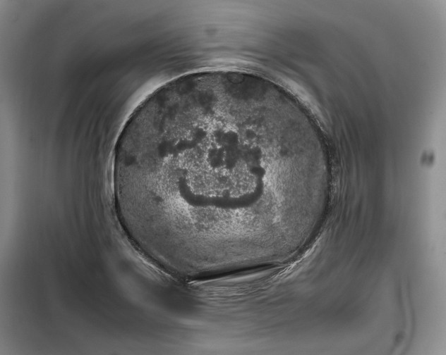 X0000100351275200806130944
