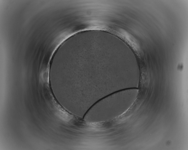 X0000100351276200806130944