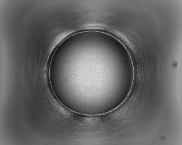 X0000100351277200806130944