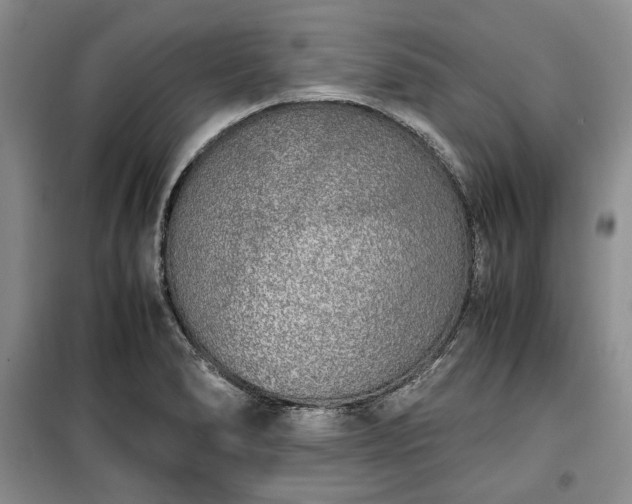 X0000100351278200806130944