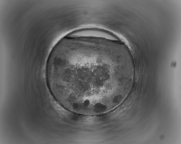 X0000100351279200806130944